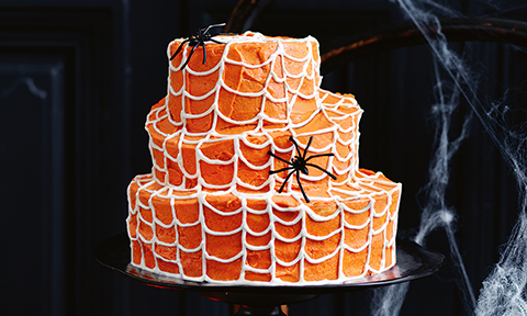Topsy-turvy spider web cake