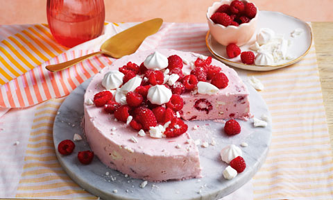 Raspberry Meringue Ice Cream Torte Recipe | Coles