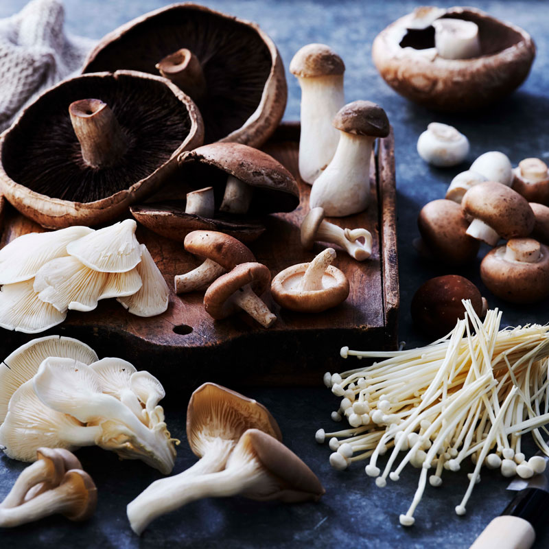 Fresh mixed mushrooms