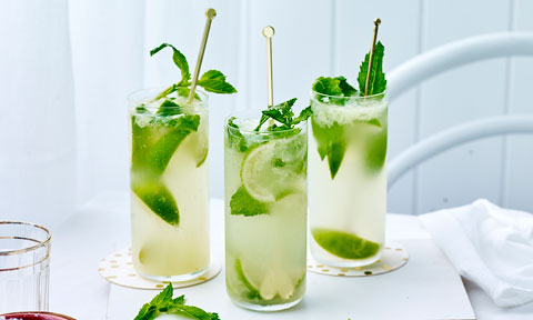 Mojito