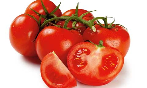 Fresh Truss tomatoes