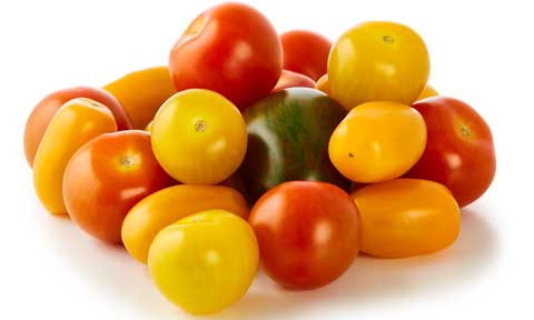 Fresh Mix A Mato tomatoes