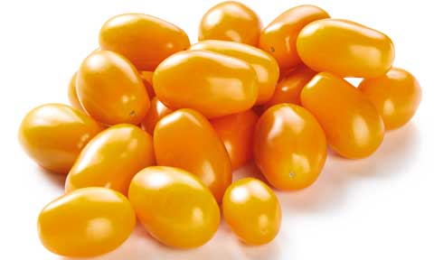 Fresh Perino Gold tomatoes