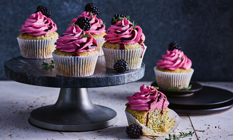 Six citrus poppy seed cupcakes with blackberry frosting