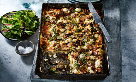 Mushroom bianco lasagne