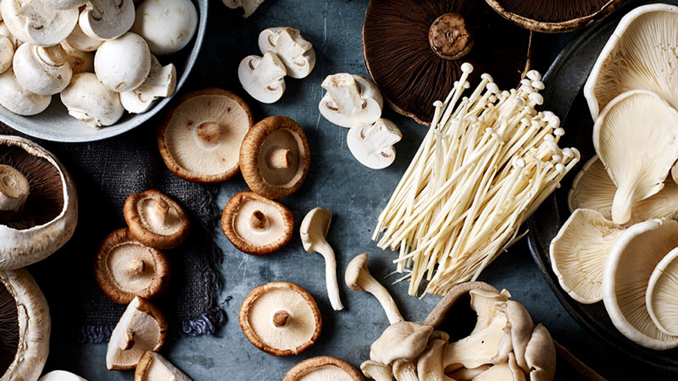 Fresh mushrooms
