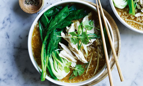 One serve of Hainanese chicken and rice soup, garnished with fresh coriander leaves.