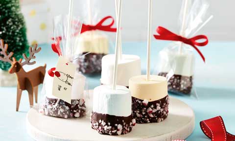 Candy cane marshmallow pops