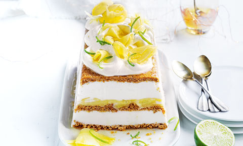 Pineapple and coconut terrine