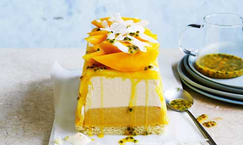 Ice cream cake with mango and pineapple