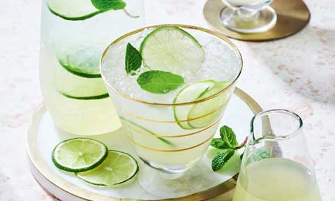 Mint limeade 