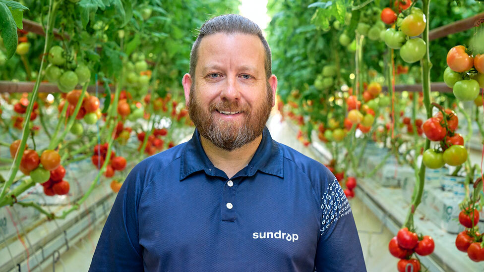 Sundrop employee with tomatoes