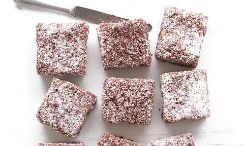 8 chocolate lamingtons on the kitchen bench