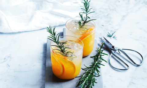 Orange and rosemary gin and tonic serve with rosemary