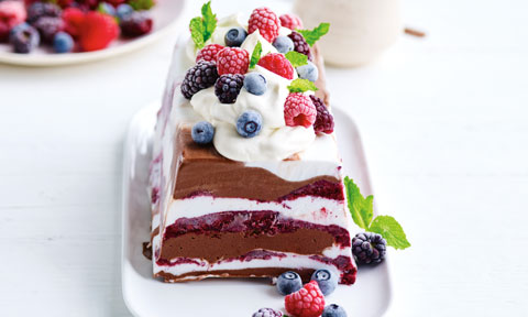 Dairy-free chocolate and berry terrine