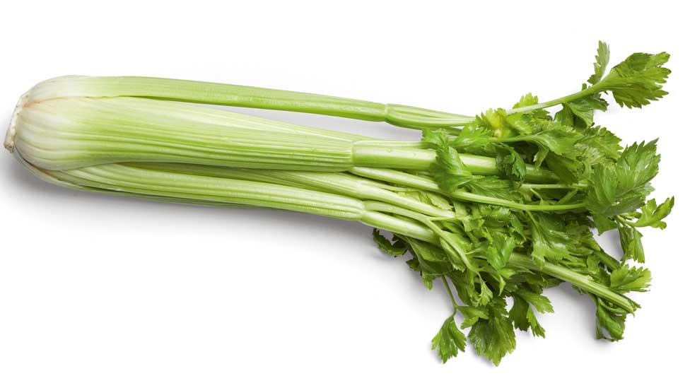 Celery