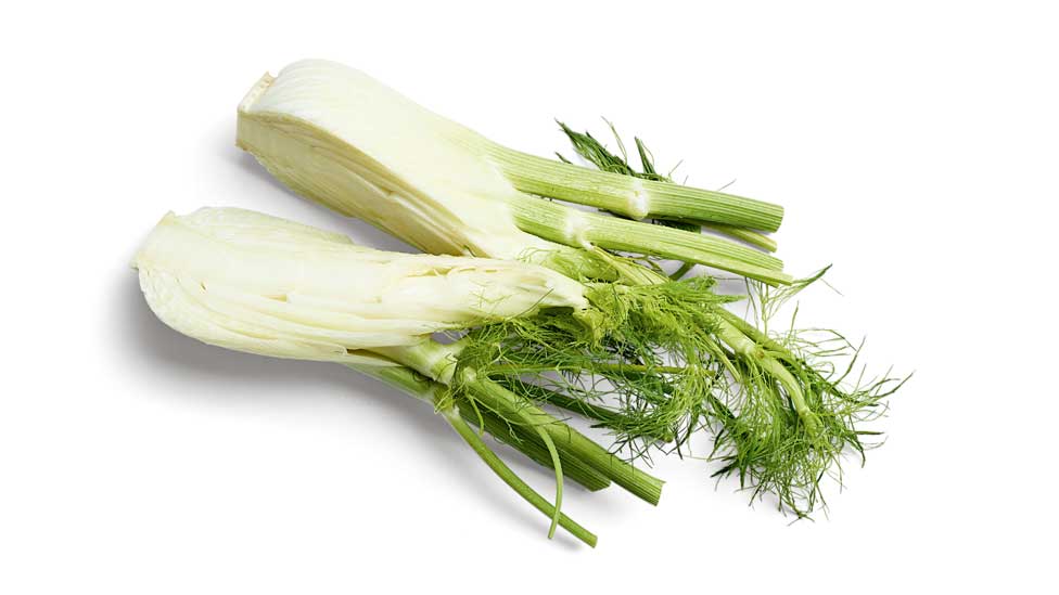 Fennel