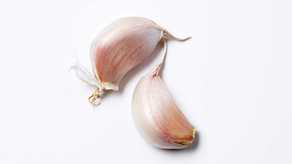 Garlic