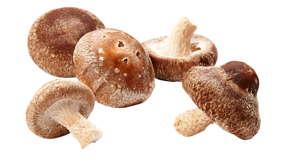 Shiitake mushrooms