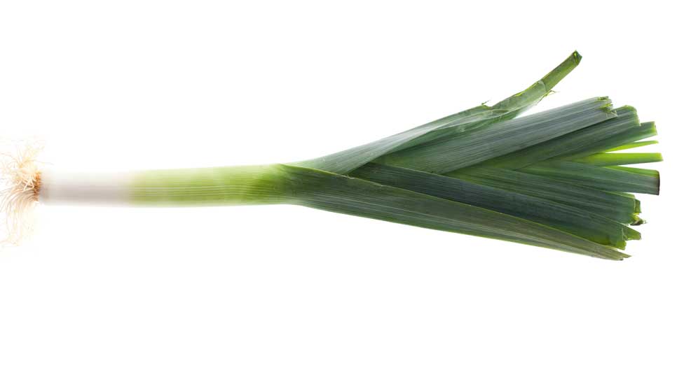 Leek