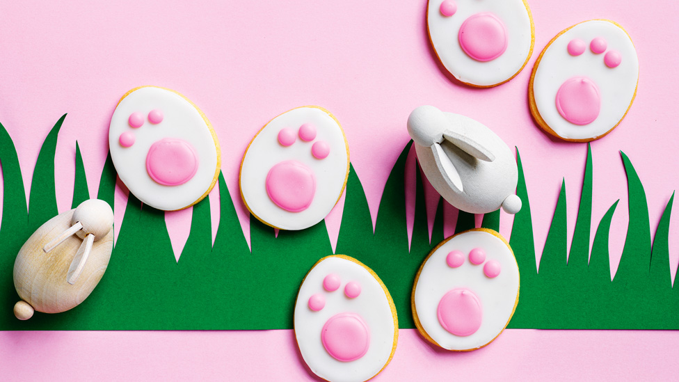 Two bunnies with six bunny paw print biscuits