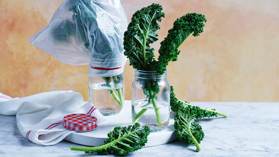 A bunch of kale in a jug of water, cover with a plastic bag 