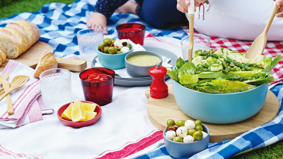 Picnic on the grass