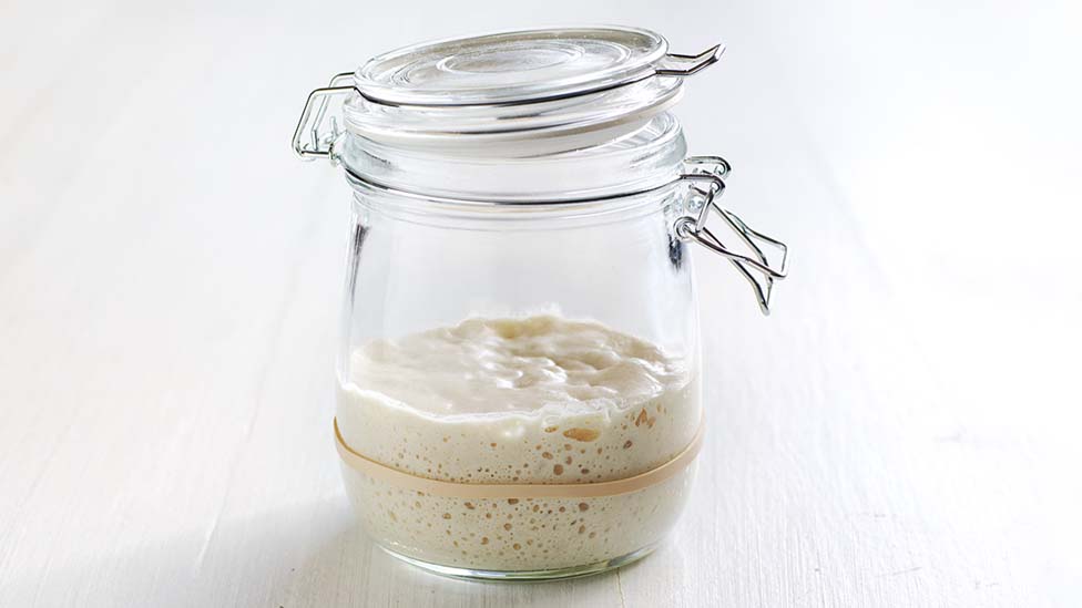 Sourdough starter in a jar with a rubber band