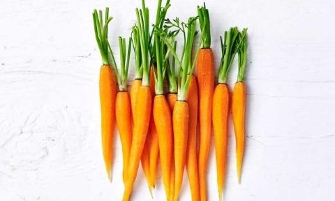 Overhead shot of fresh carrots