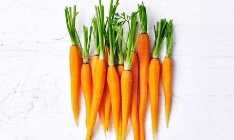 Bunch of carrots