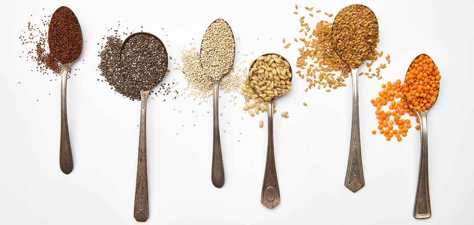 Spoons full of different grains and legumes