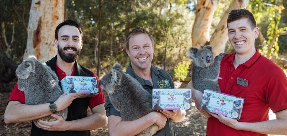 Men with koalas and So Soft facial tissues