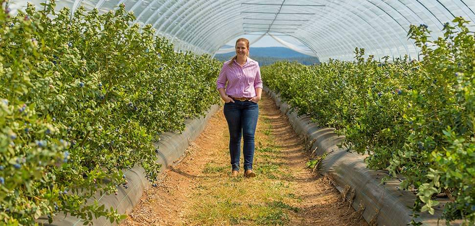 Natalie Bell walking in greenhouse in Lismore, New South Wales