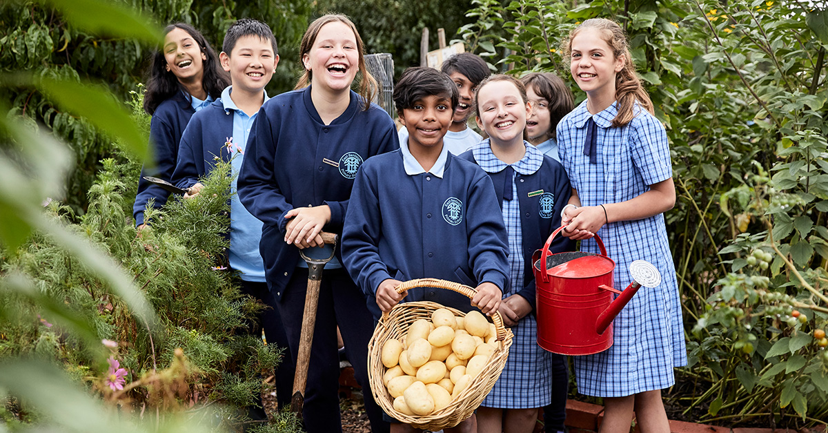 Coles is partnering with our Carisma potato grower Mitolo Family Farms to raise money for SAKGF. 