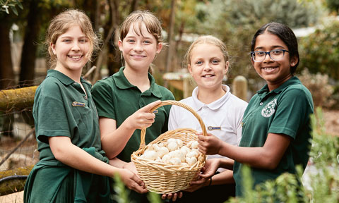 Kids holding a basket with fresh produce