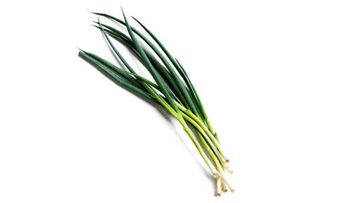 Bunch of spring onions