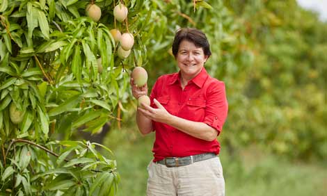 Coles Nature's Kitchen, plant based eats